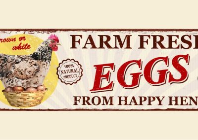 Eggs: A Food Label Lesson