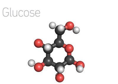 The Fate of Glucose
