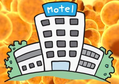 The Fatty Acid Motel