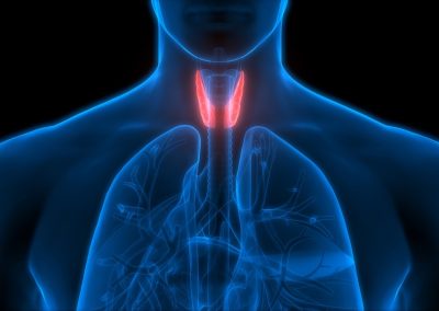 Thyroid Basics