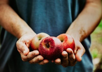 Processing Changes the Food We Eat — Here’s What That Means for Our Bodies