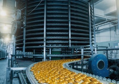 Ultra-Processed Foods and Health