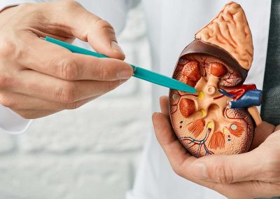 The Kidney-Blood Pressure Connection