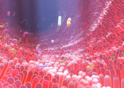 Gut Bacteria More Important to Health Than DNA