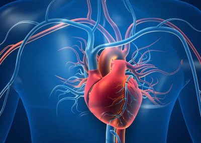 Hidden Heart Disease and Metabolic Health