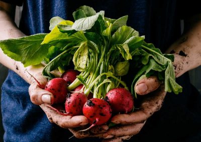 Organic Food Health Benefits Have Been Hard to Assess, but That Could Change