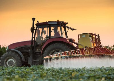 Tools for Avoiding Pesticides: “The Dirty Dozen” and “The Clean Fifteen” 