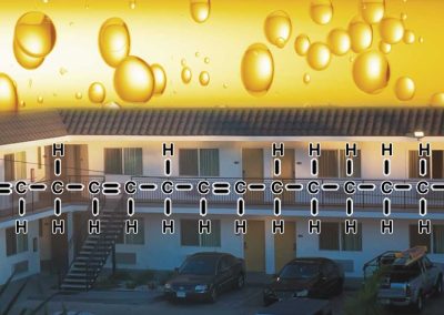 The Fatty Acid Motel (Video)